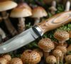 Optez pour un couteau champignon personnalisé : la lame parfaite pour les amoureux de la cueillette